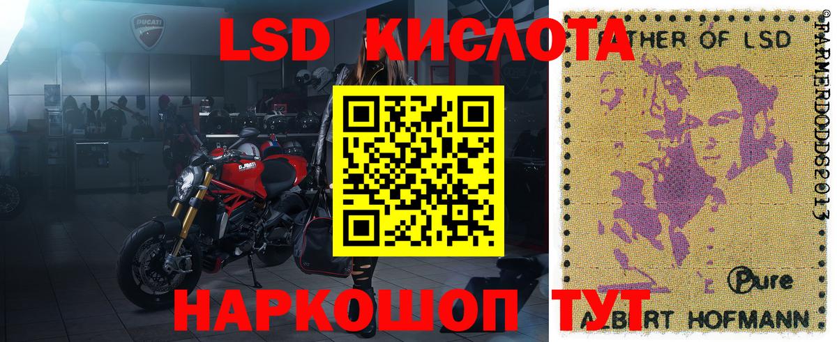Губкин  Наркотические марки  Вход с VPN  Марки NBOMe 1500мкг 