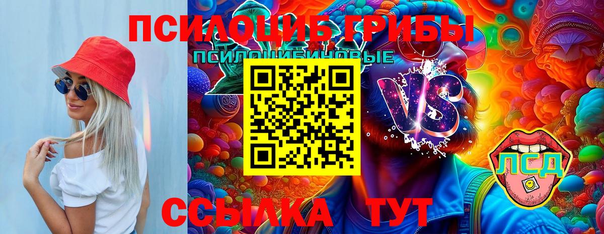 Галлюциногенные грибы мицелий Губкин