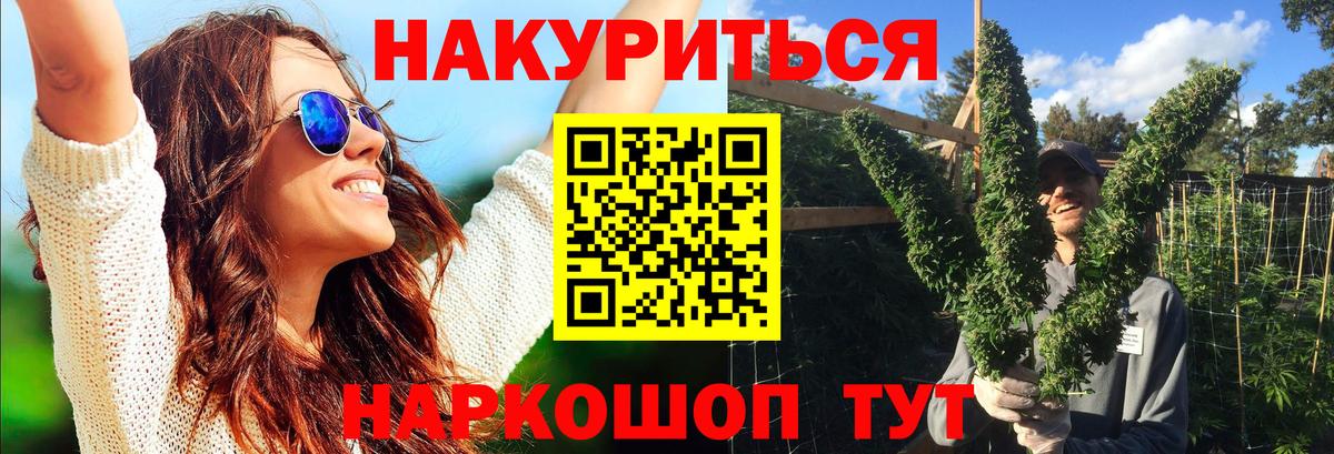Конопля семена  Вход с VPN  Губкин  Канабис THC 21%  Канабис сатива 